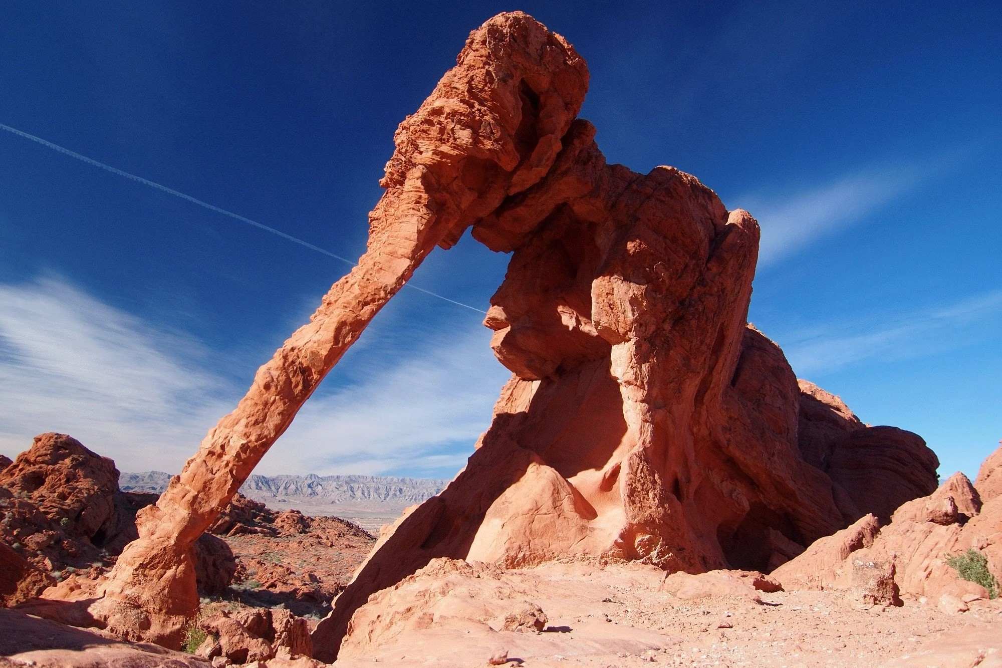 curious-facts-about-nevadas-valley-of-fire-elephant-rock-formation