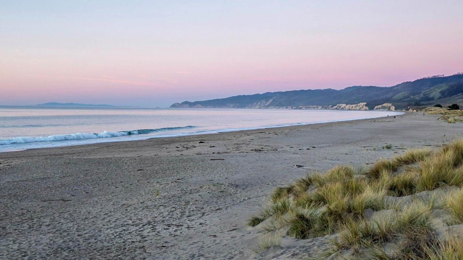 curious-facts-about-point-reyes-limantour-beach-dunes