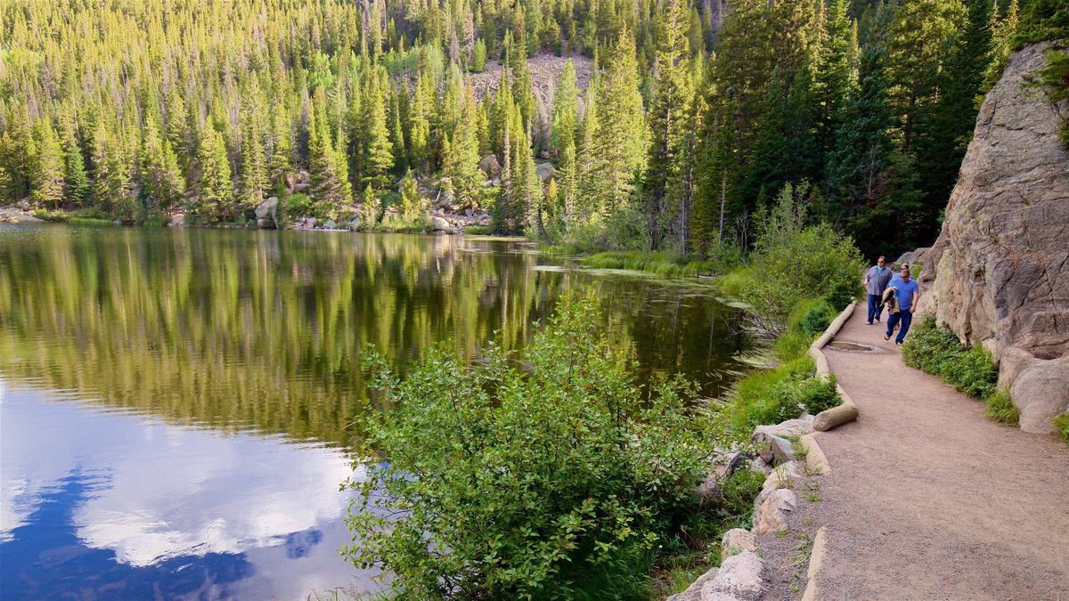 curious-finds-along-bear-lake-trail-in-colorados-rockies