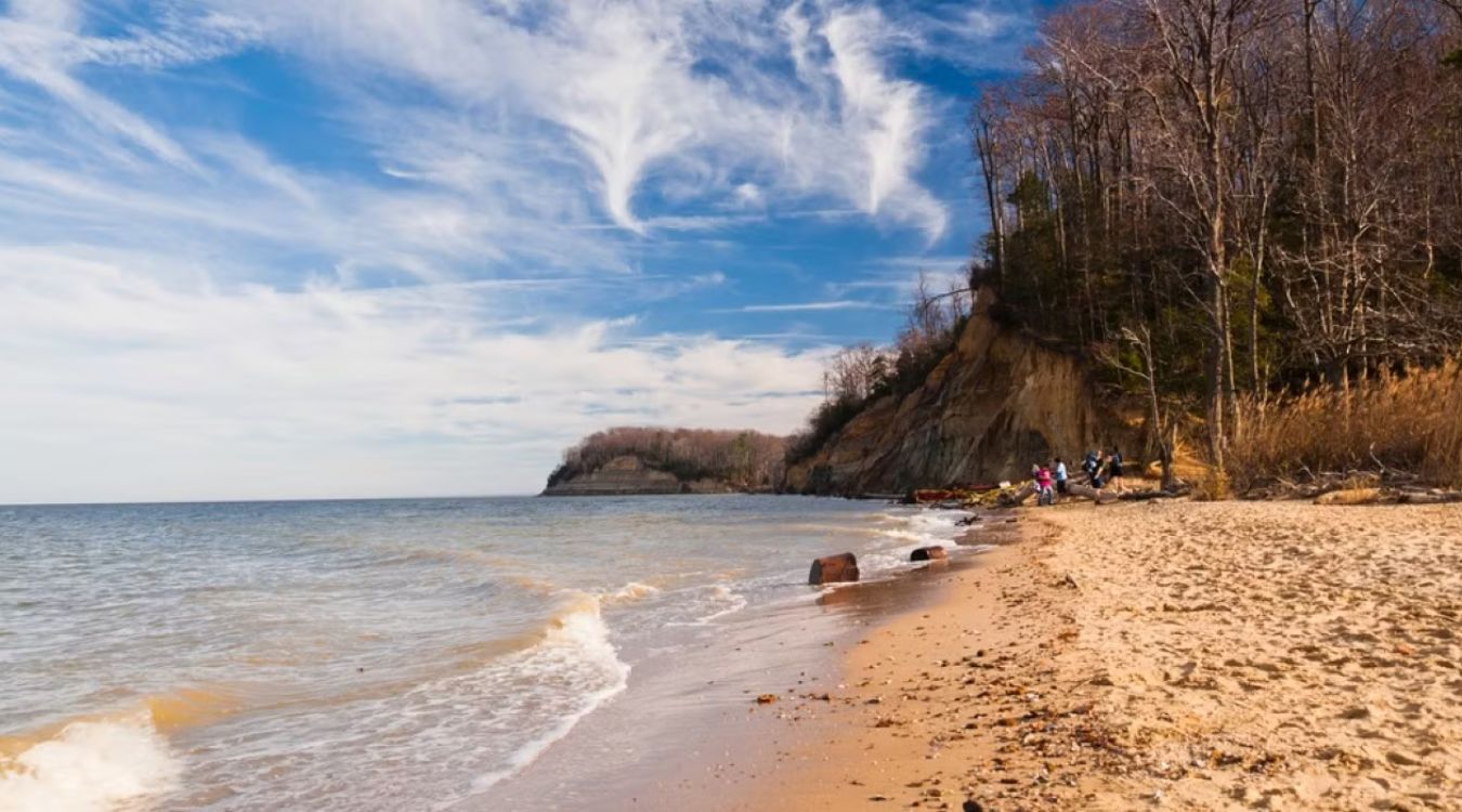 floridas-calvert-cliffs-secret-fossil-beaches
