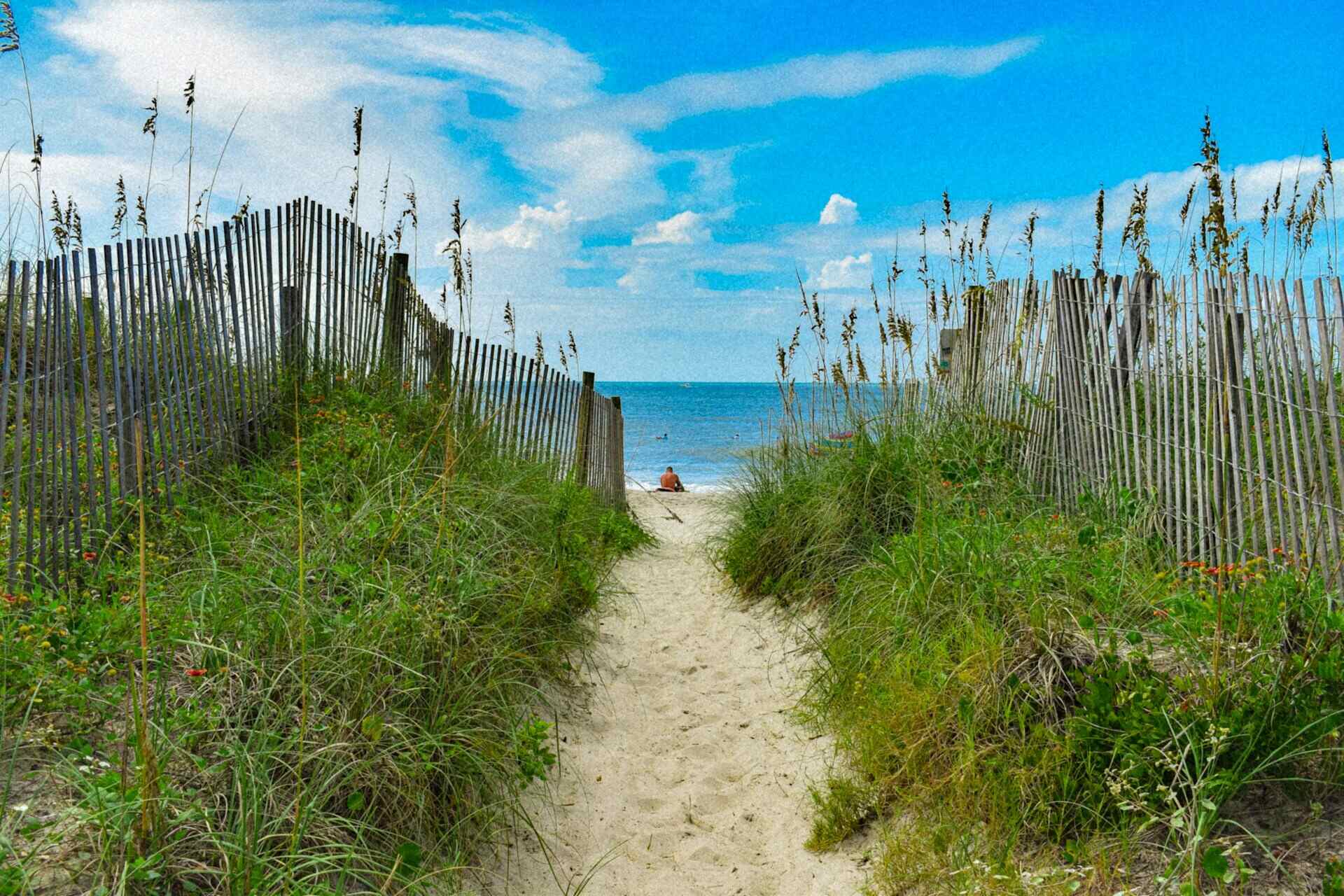 hidden-barrier-beaches-of-north-carolinas-shackleford-banks