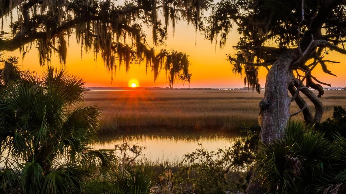 hidden-barrier-islands-of-georgias-cumberland-island