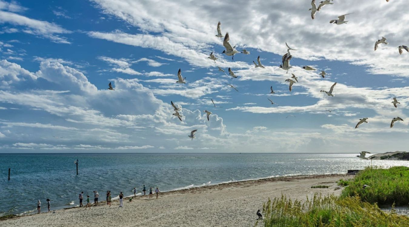 hidden-beaches-of-ocracoke-island-in-north-carolina