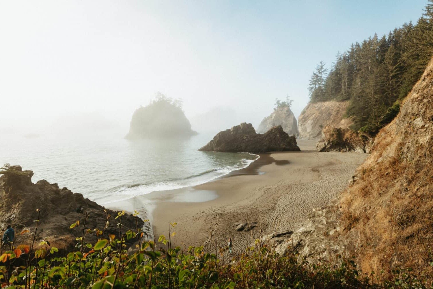 hidden-beaches-of-oregons-samuel-boardman