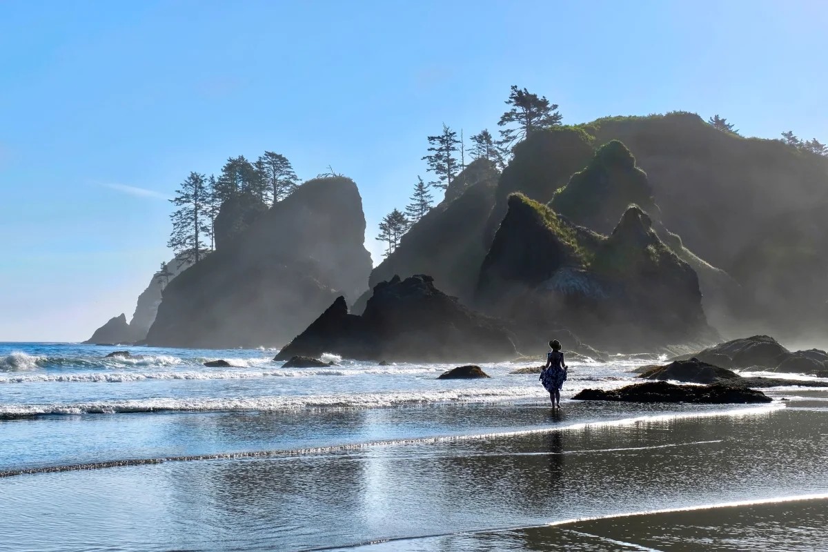 Hidden-Beaches-Of-Washington8217s-Puget-Sound hidden-beaches-of-washingtons-puget-sound