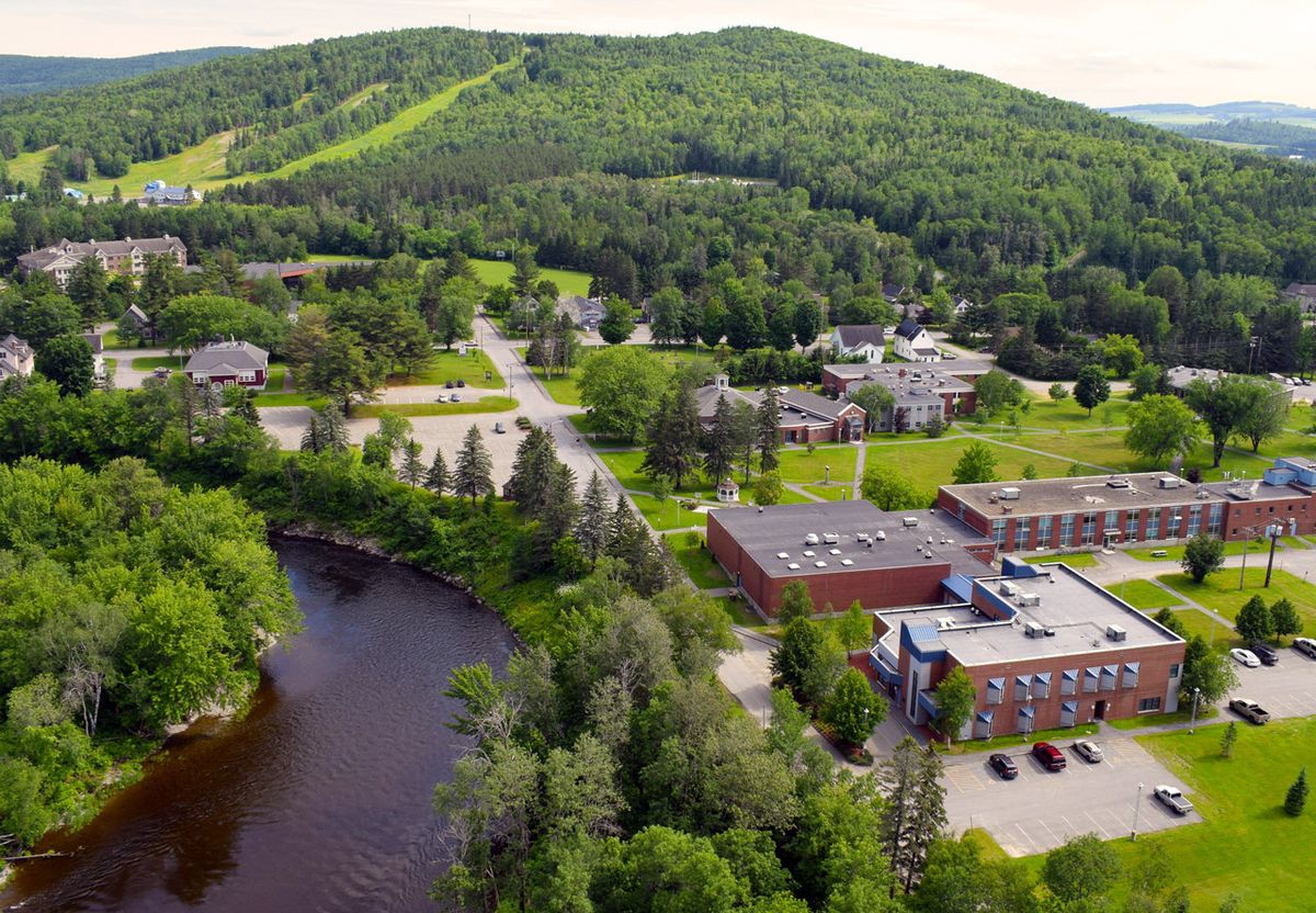 hidden-biomass-energy-research-at-maines-universities