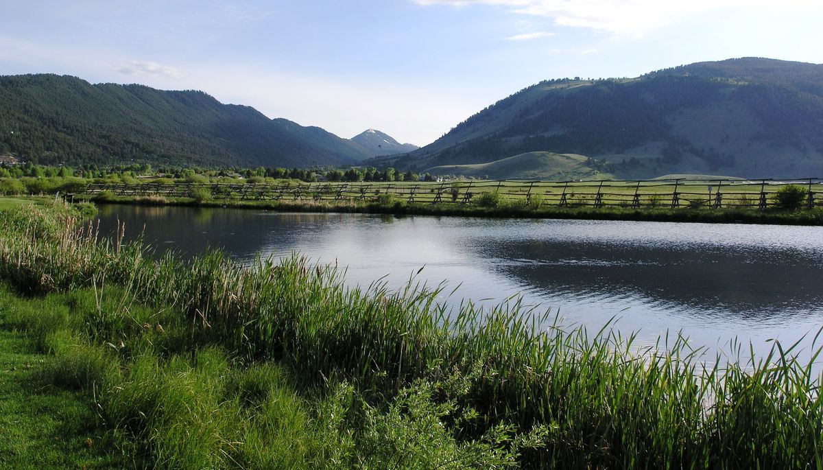 hidden-bison-wallows-in-wyomings-national-elk-refuge