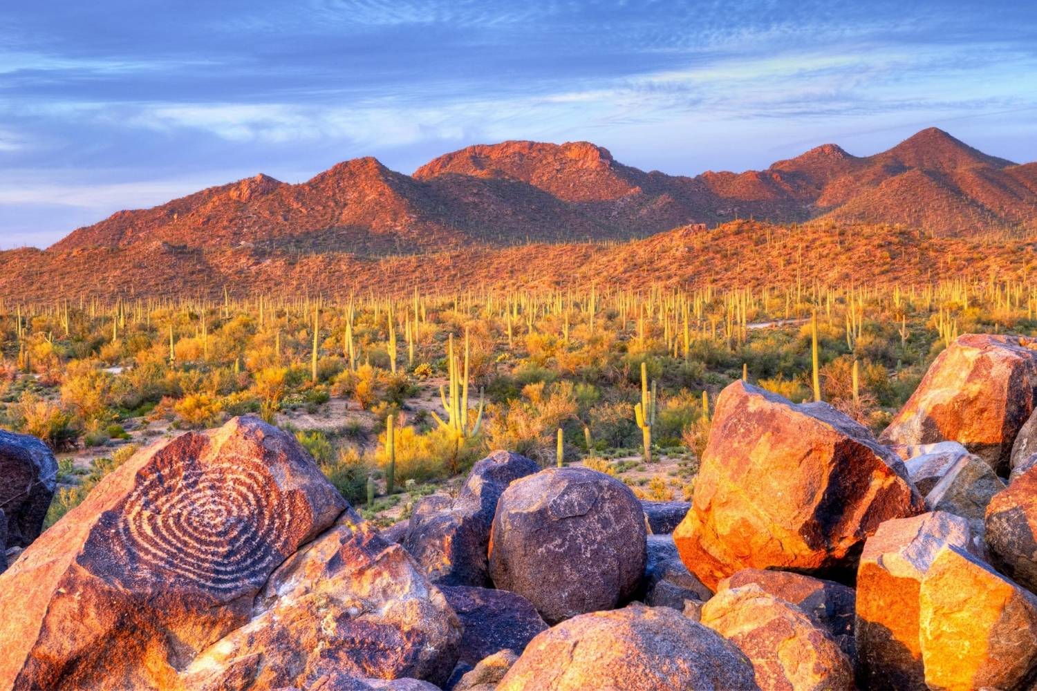 hidden-canyons-of-arizonas-saguaro-national-park