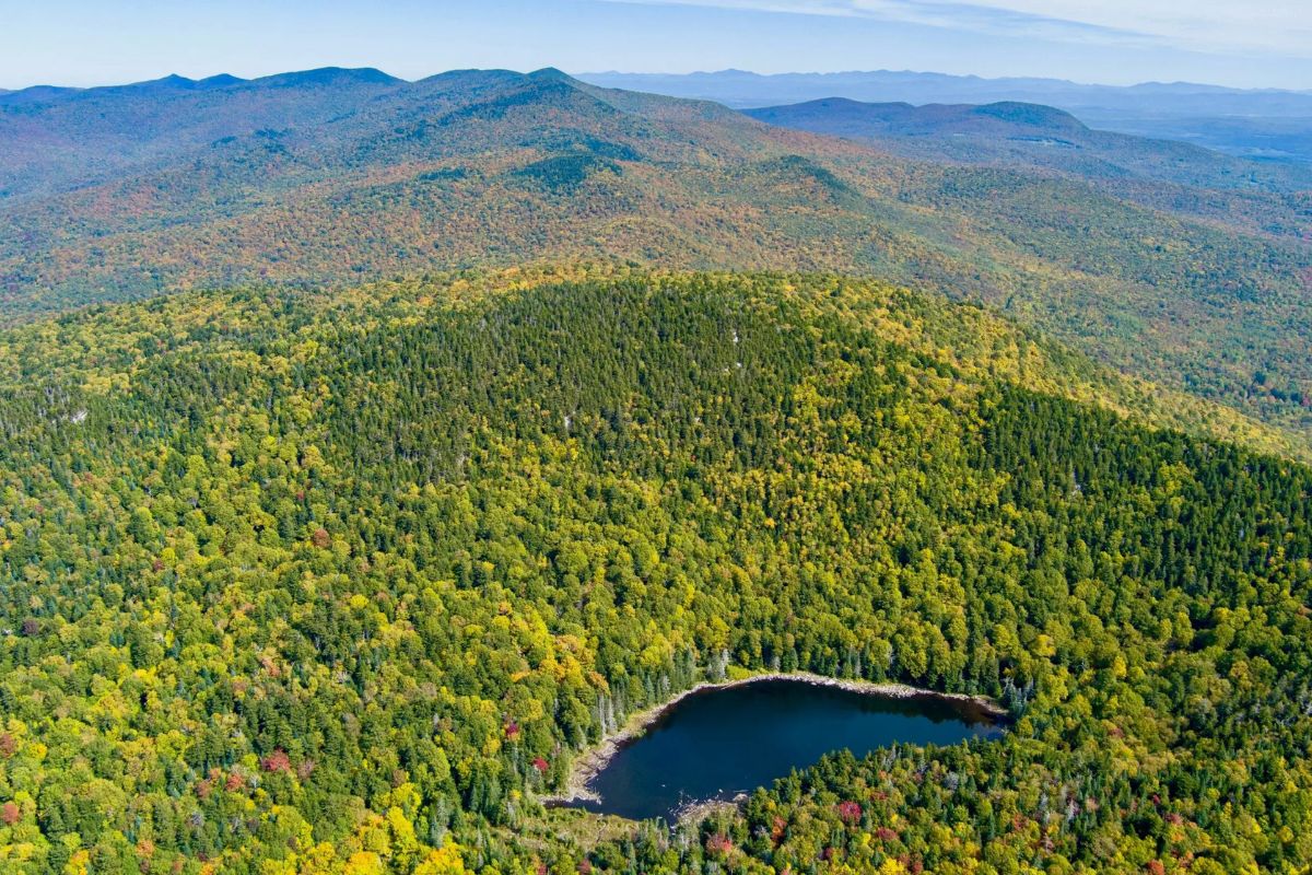 hidden-clearings-in-vermonts-green-mountain-forest