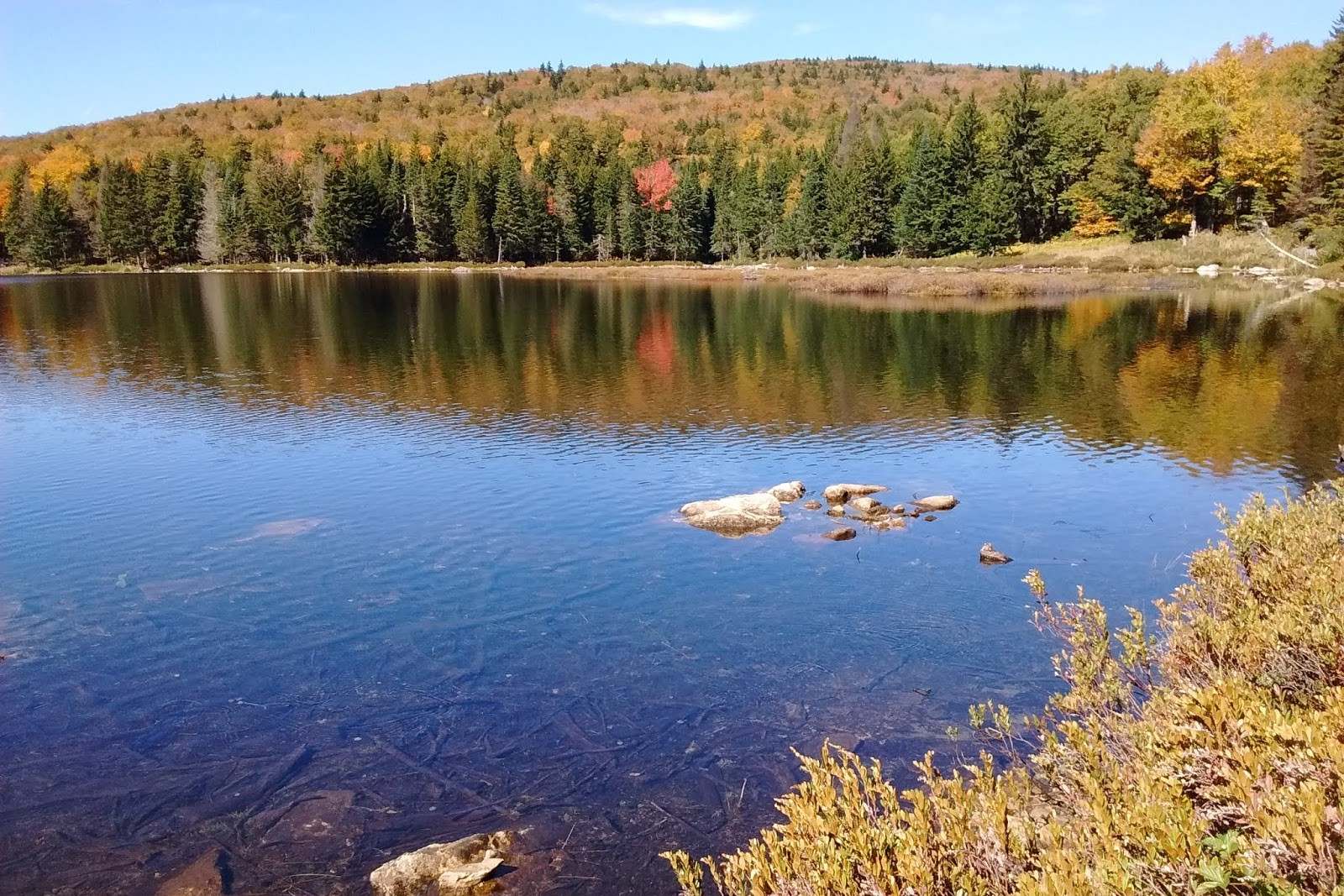 hidden-clearings-of-vermonts-little-river-state-park