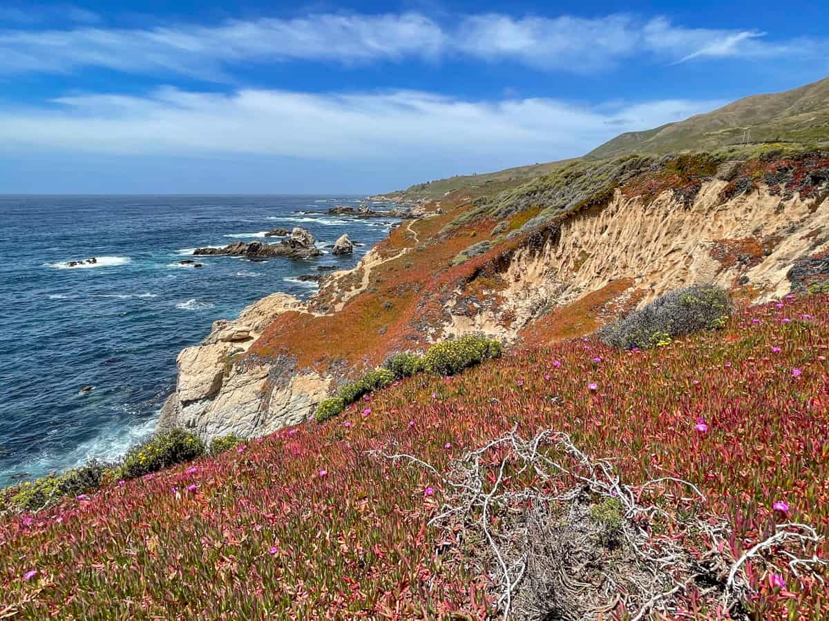hidden-coastal-bluffs-of-californias-garrapata-state-park