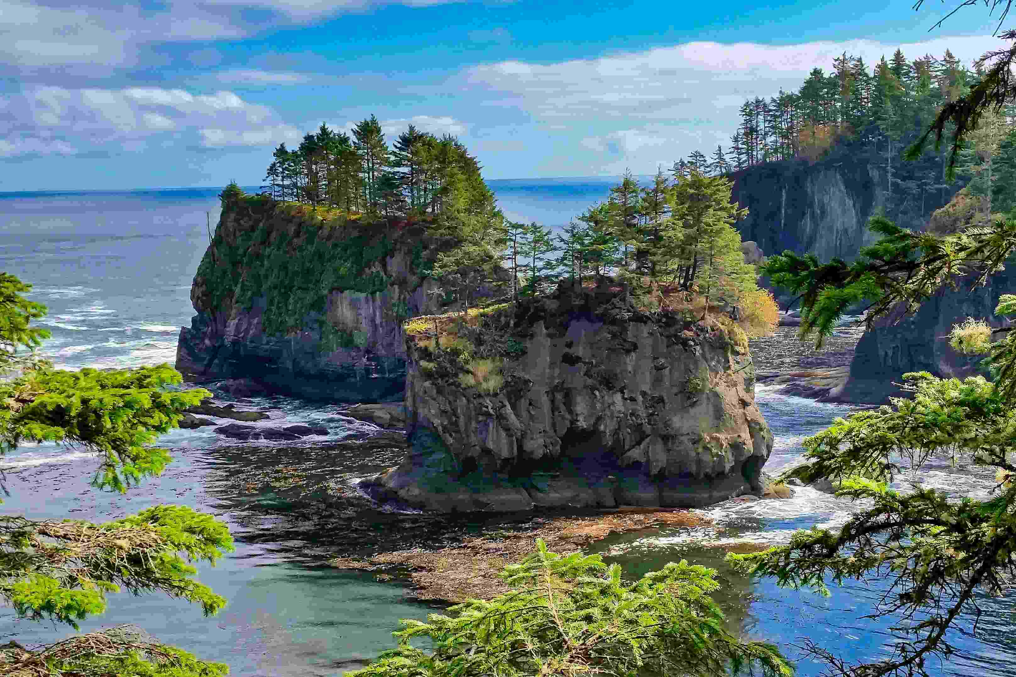 Hidden Coastal Wonders Of Washington s Cape Alava TouristSecrets Hidden Coastal Wonders Of Washington s Cape Alava TouristSecrets