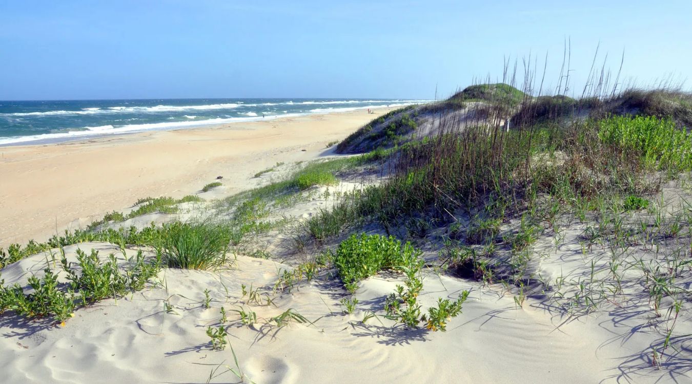 hidden-coastal-dunes-of-cape-hatteras-seashore