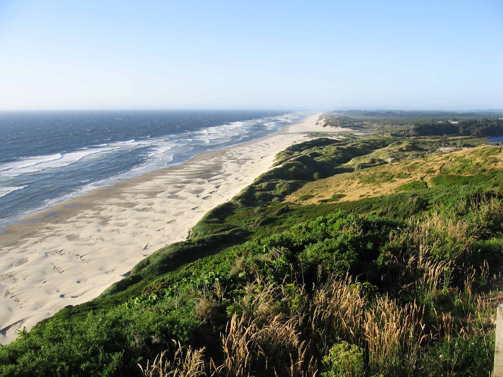 hidden-coastal-dunes-of-oregons-douglas-county
