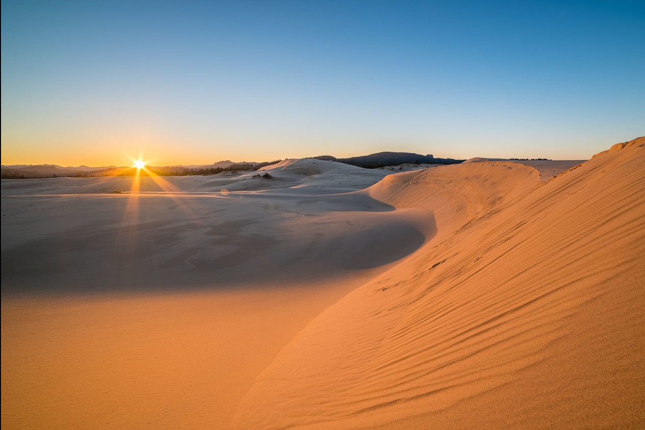 hidden-coastal-dunes-of-oregons-national-recreation-area