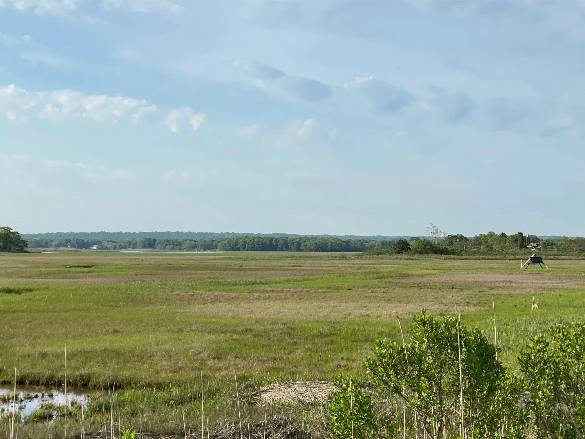 hidden-coastal-marshes-of-connecticuts-hammonasset-new-haven-county