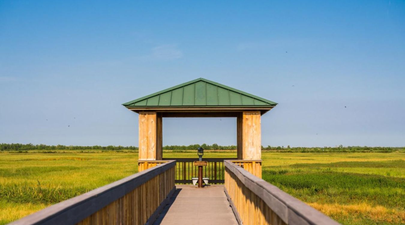hidden-coastal-marshes-of-louisianas-cameron-prairie-refuge