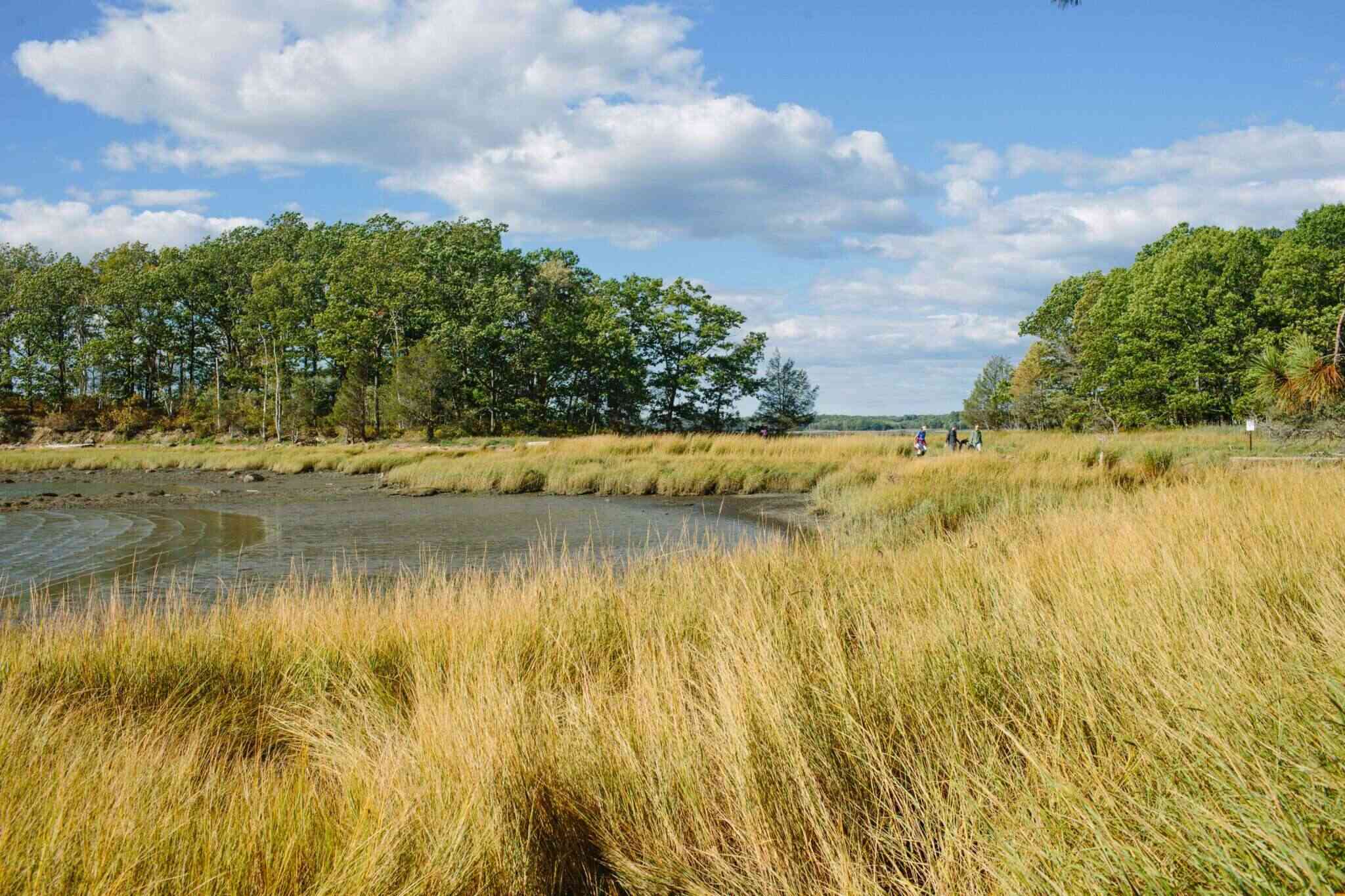 hidden-coastal-marshes-of-south-carolinas-ace-basin-reserve