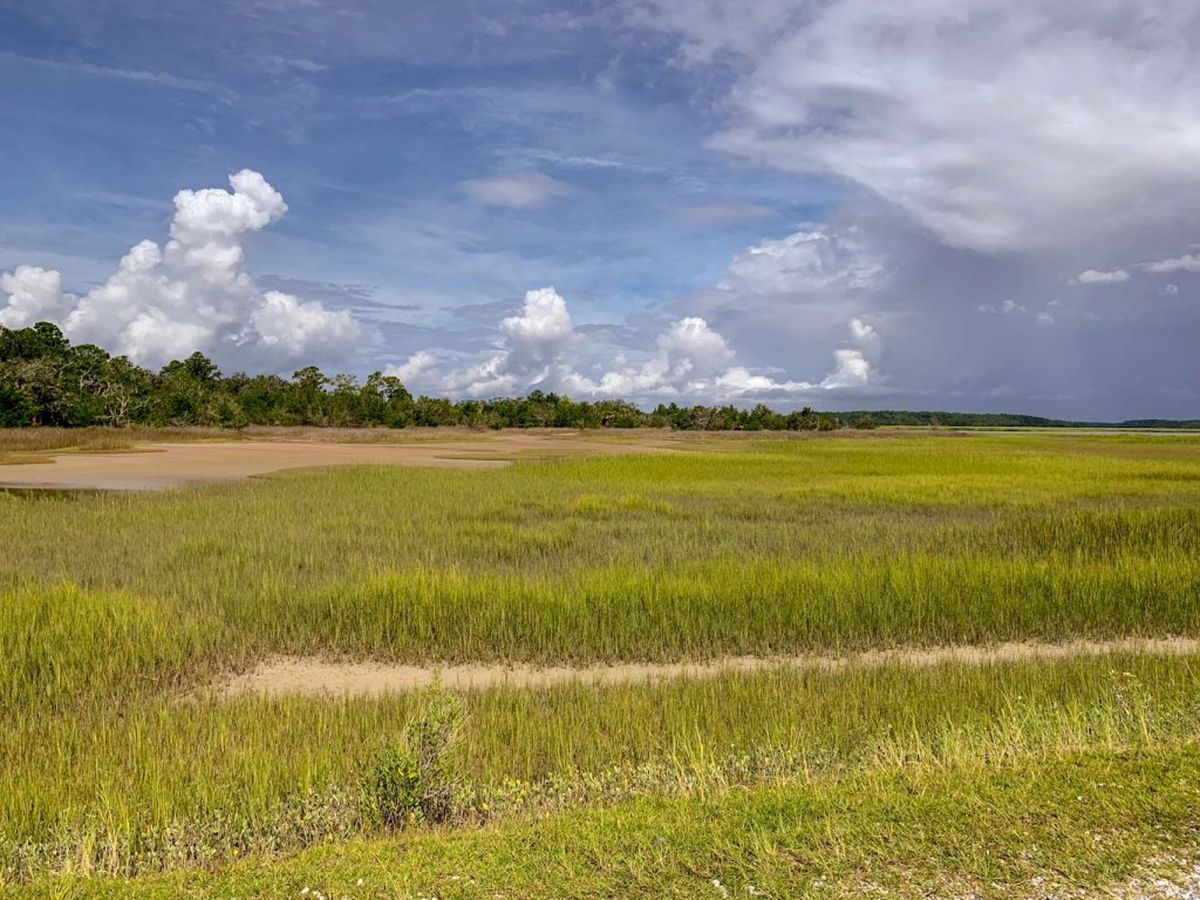 hidden-coastal-marshes-of-south-carolinas-pinckney-island