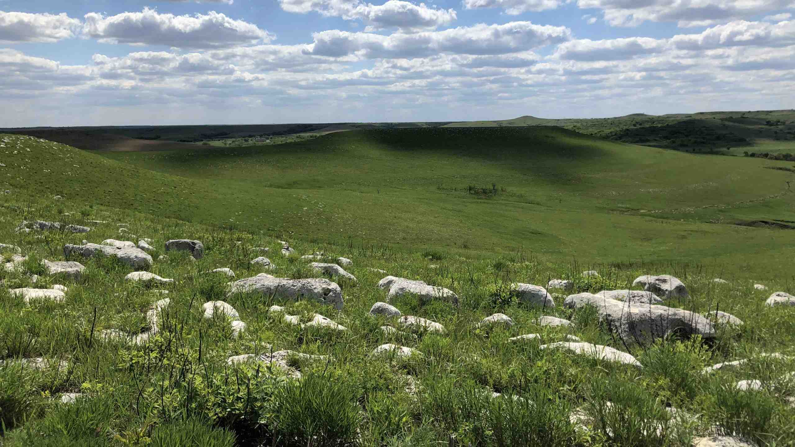 hidden-connections-in-kansass-prairie-research-network