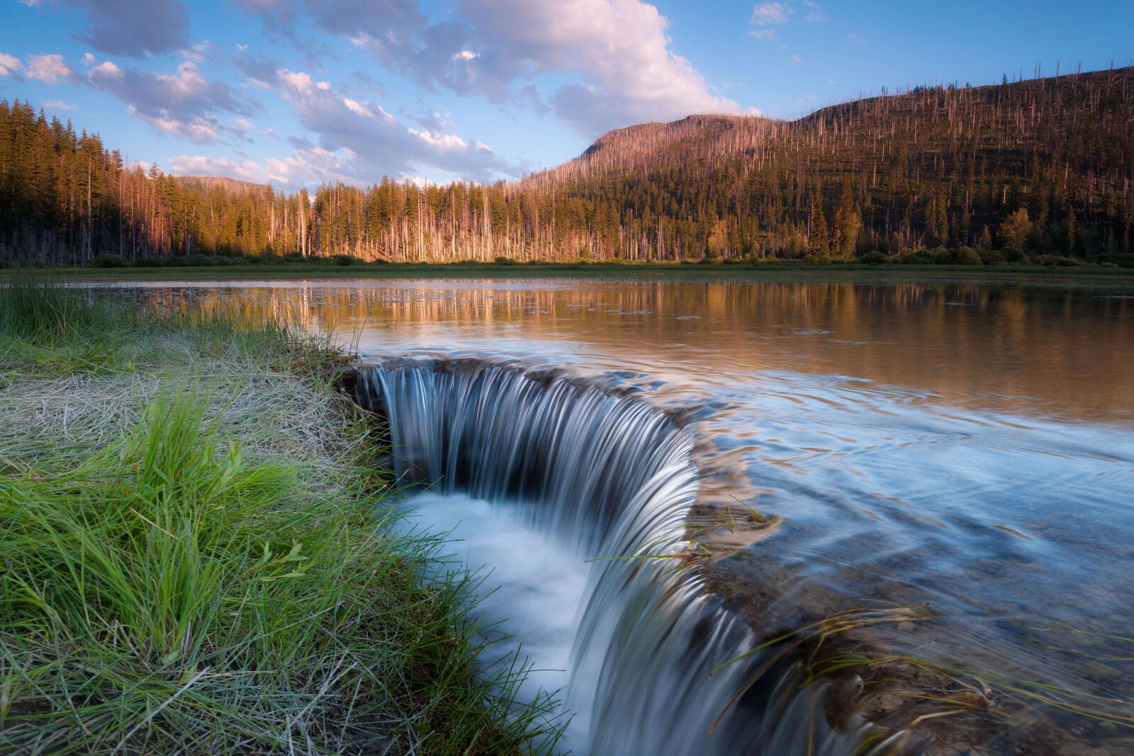 hidden-cookhouse-foundations-of-oregons-willamette-forest