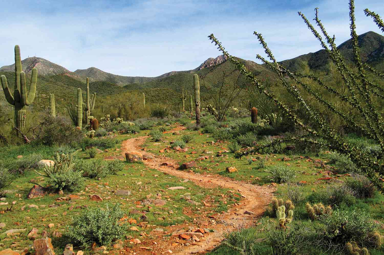 hidden-desert-arroyos-in-arizonas-mcdowell-mountain-preserve