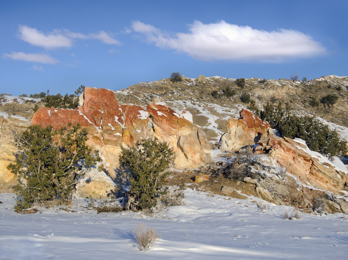 hidden-desert-arroyos-in-new-mexicos-ojito-wilderness