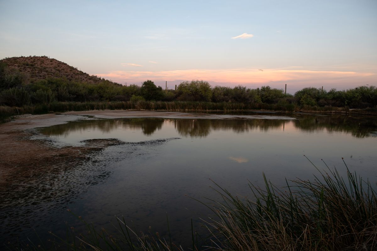 hidden-desert-oases-of-arizonas-quitobaquito-springs
