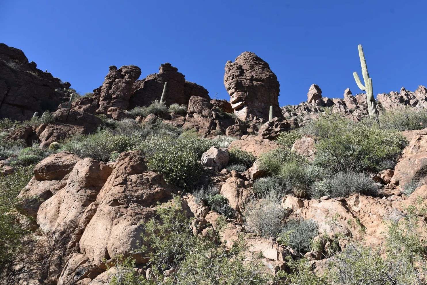 hidden-desert-pools-in-arizonas-queen-creek-canyon