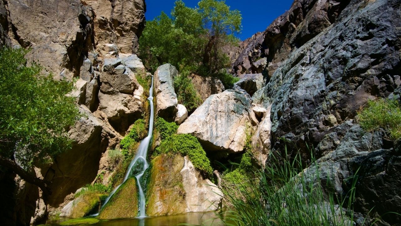 hidden-desert-pools-in-californias-darwin-falls