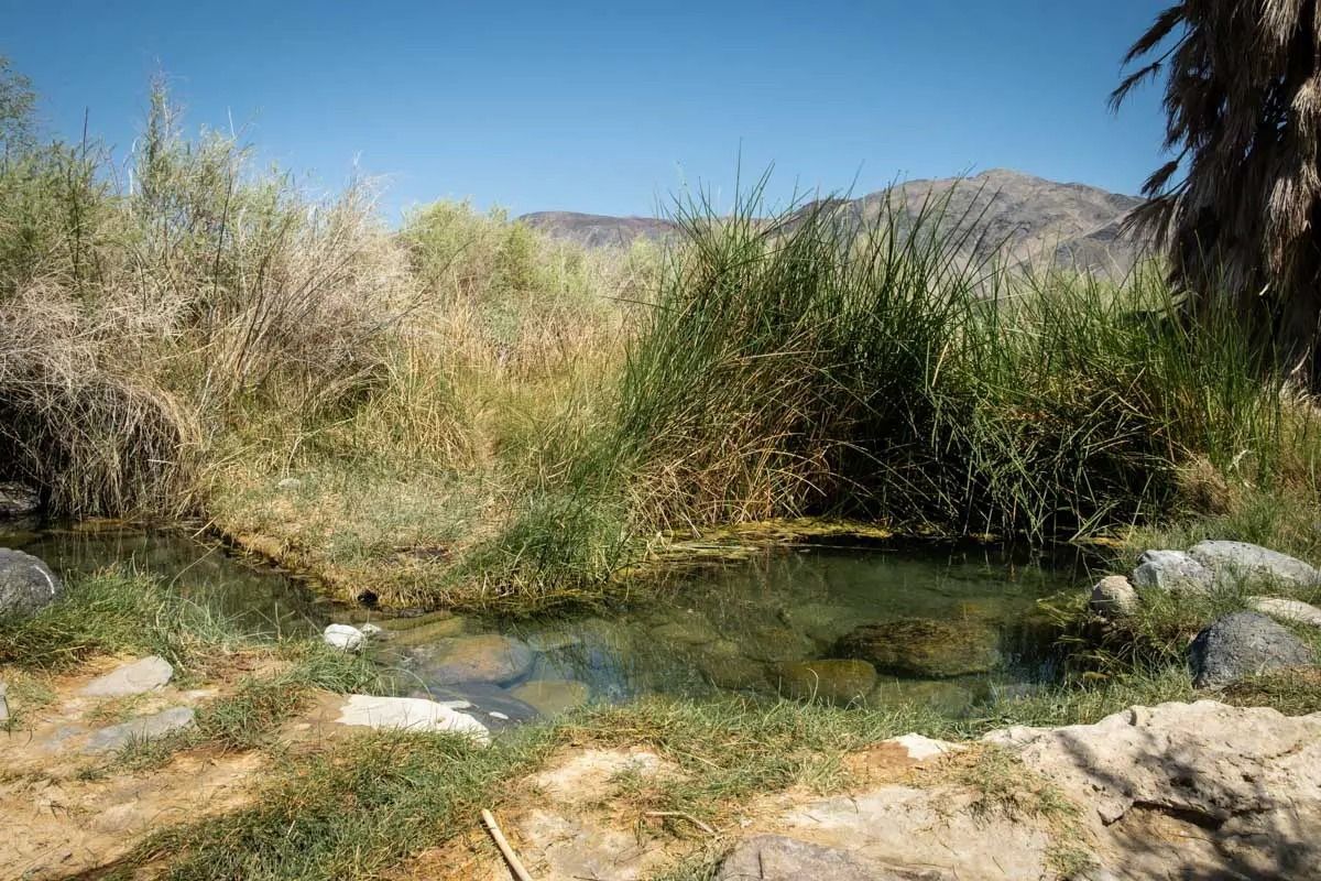 hidden-desert-pools-in-californias-saline-valley