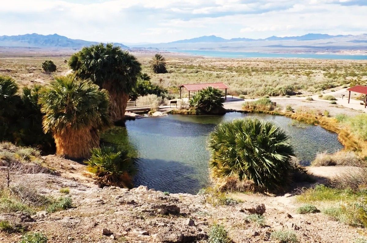 Hidden-Desert-Pools-In-Nevada8217s-Rogers-Spring hidden-desert-pools-in-nevadas-rogers-spring