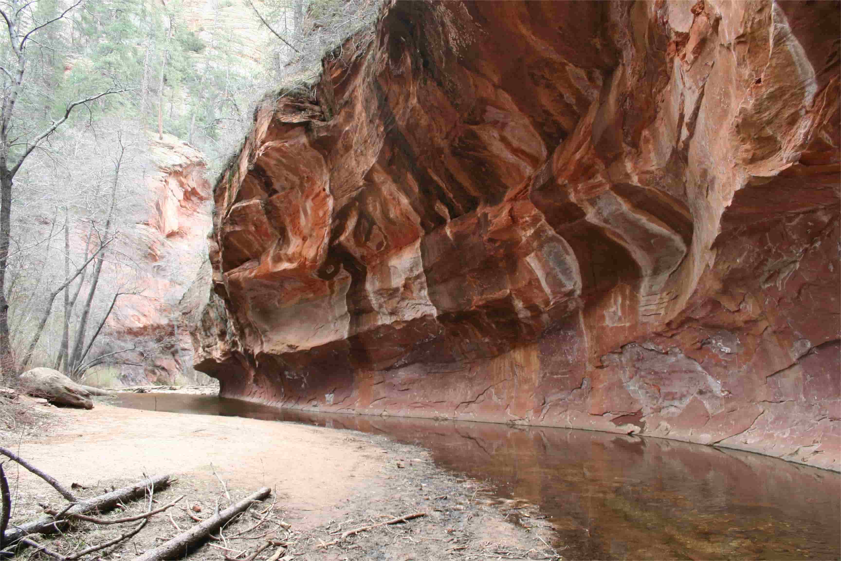 hidden-desert-washes-of-arizonas-oak-creek-west-fork