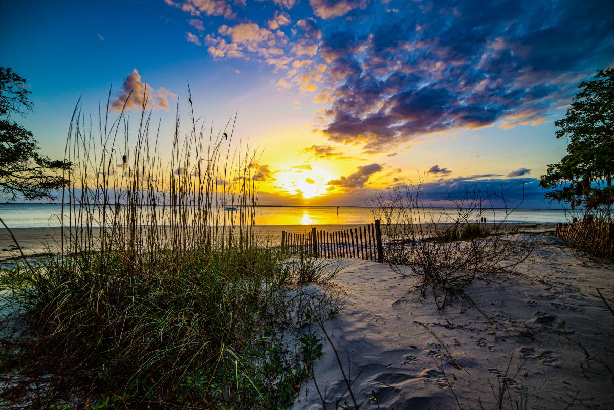 hidden-estuaries-of-georgias-golden-isles