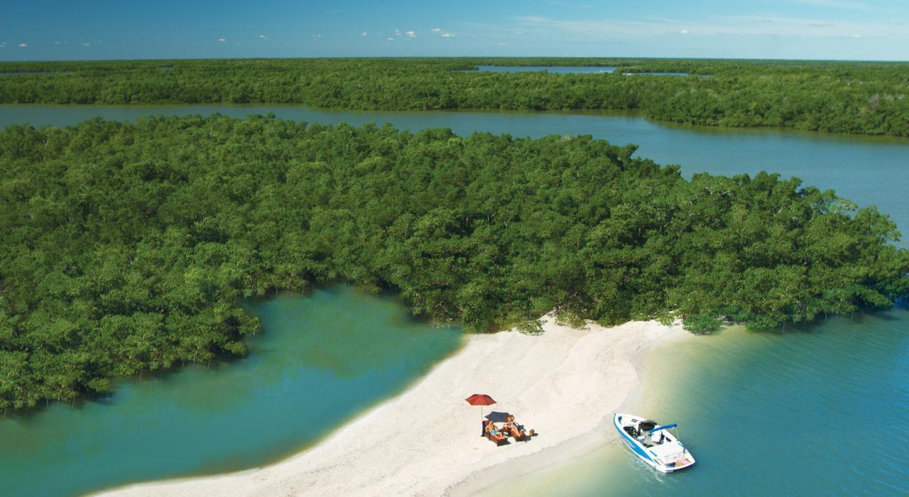 hidden-fishing-gems-in-floridas-ten-thousand-islands