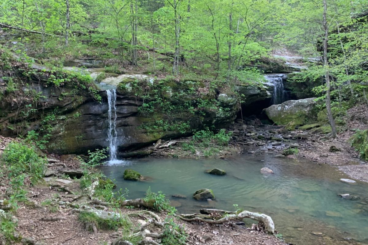 hidden-forest-clearings-in-maines-rangeley-franklin-county