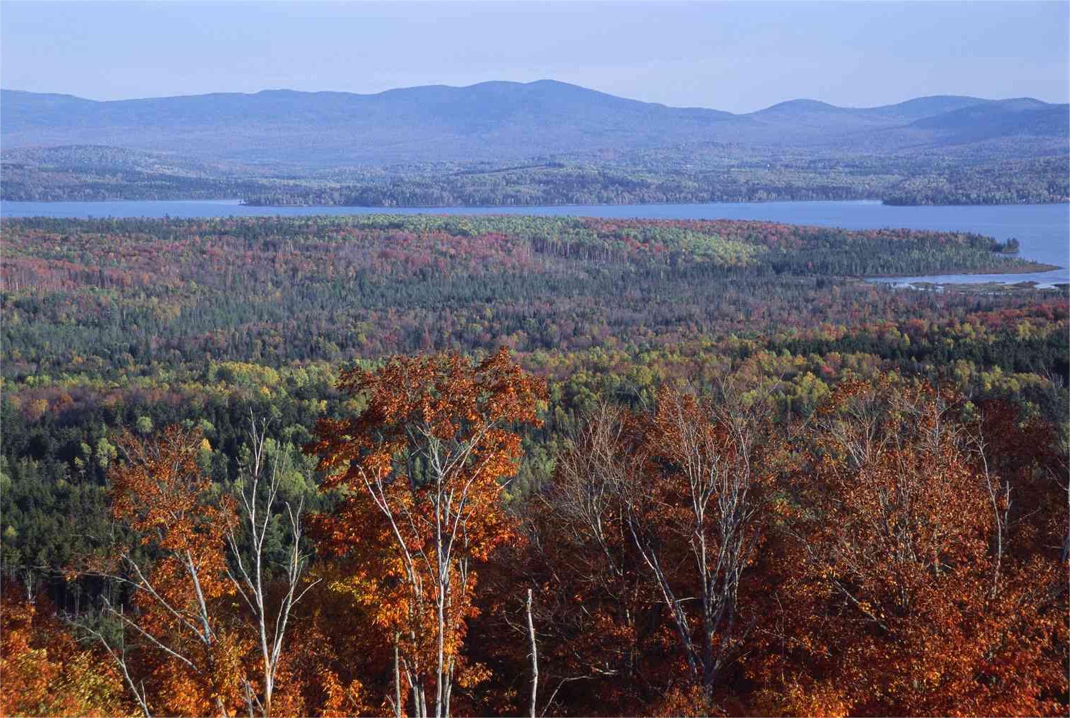 hidden-forest-clearings-in-maines-rangeley-lakes-region