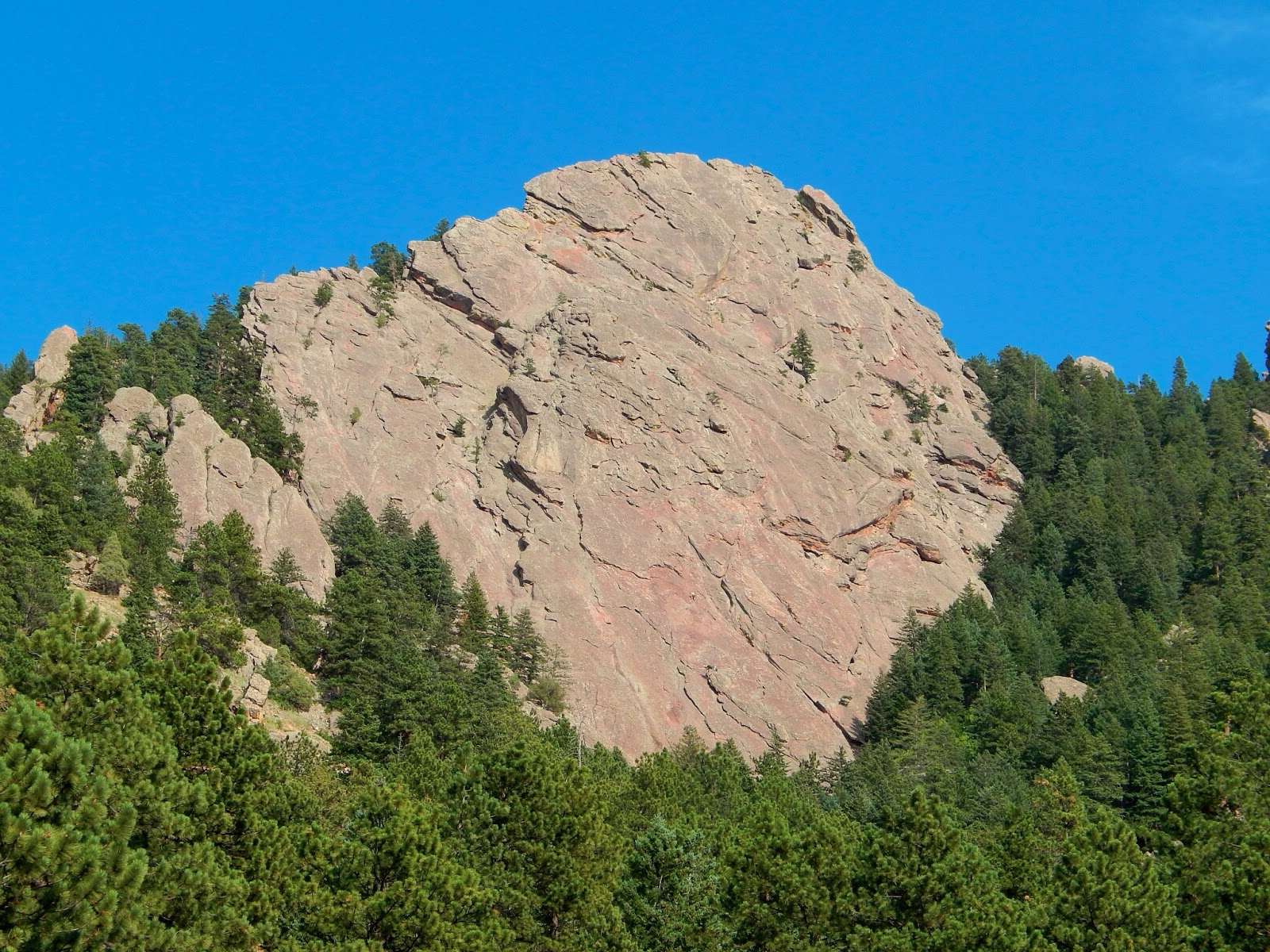 hidden-forest-glades-in-michigans-huron-national-forest