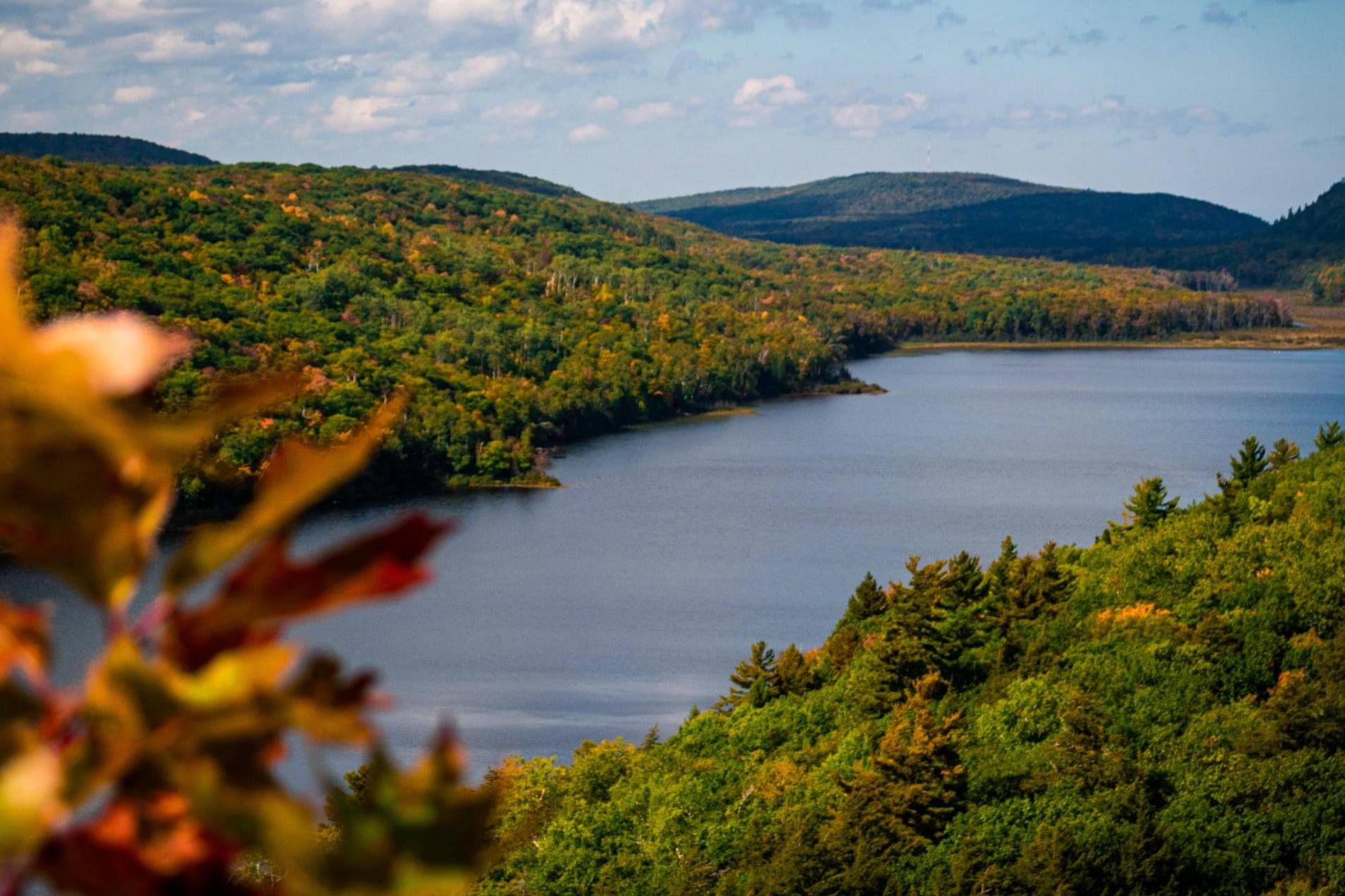 hidden-forest-glades-in-michigans-porcupine-mountains