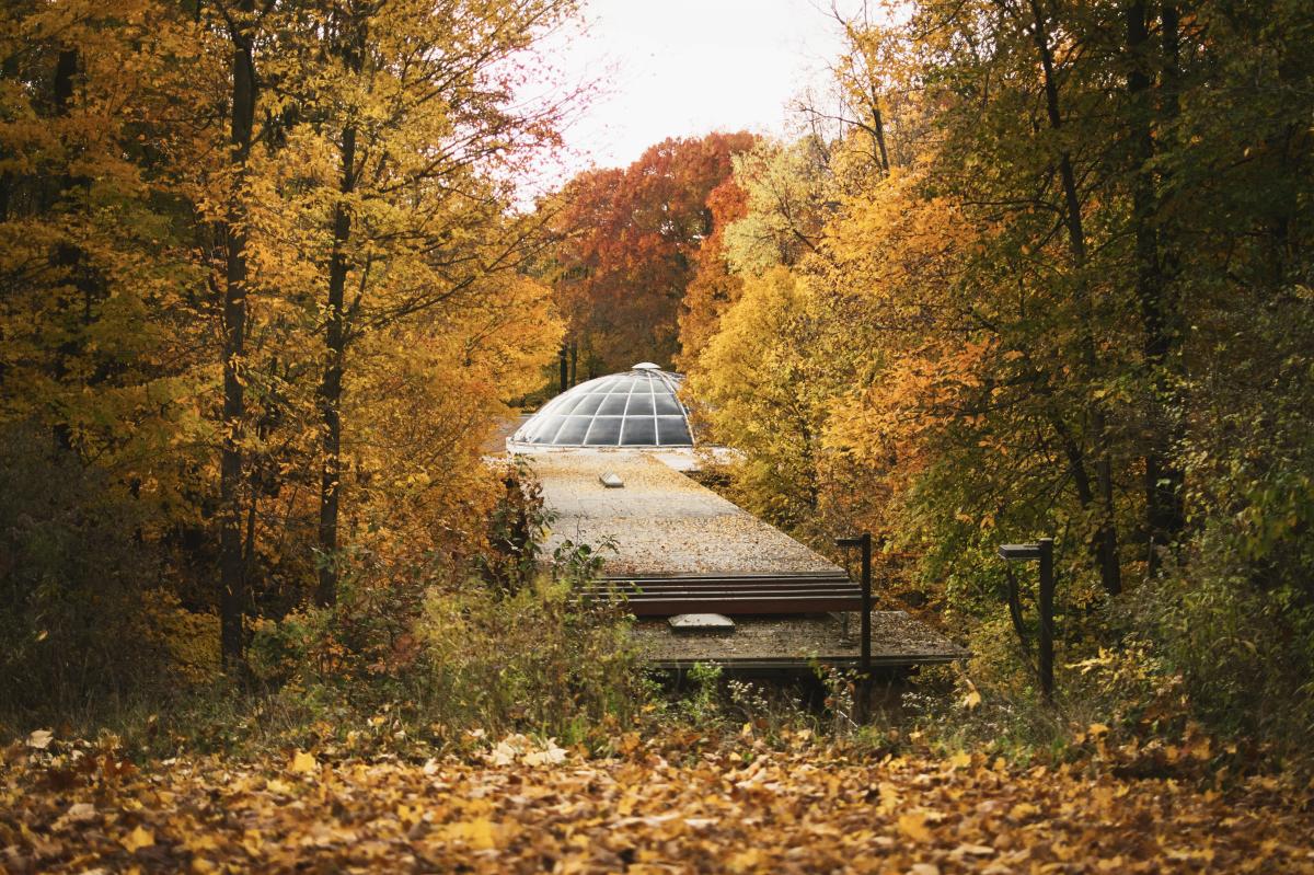 hidden-forest-glades-of-michigans-kalamazoo-nature-center