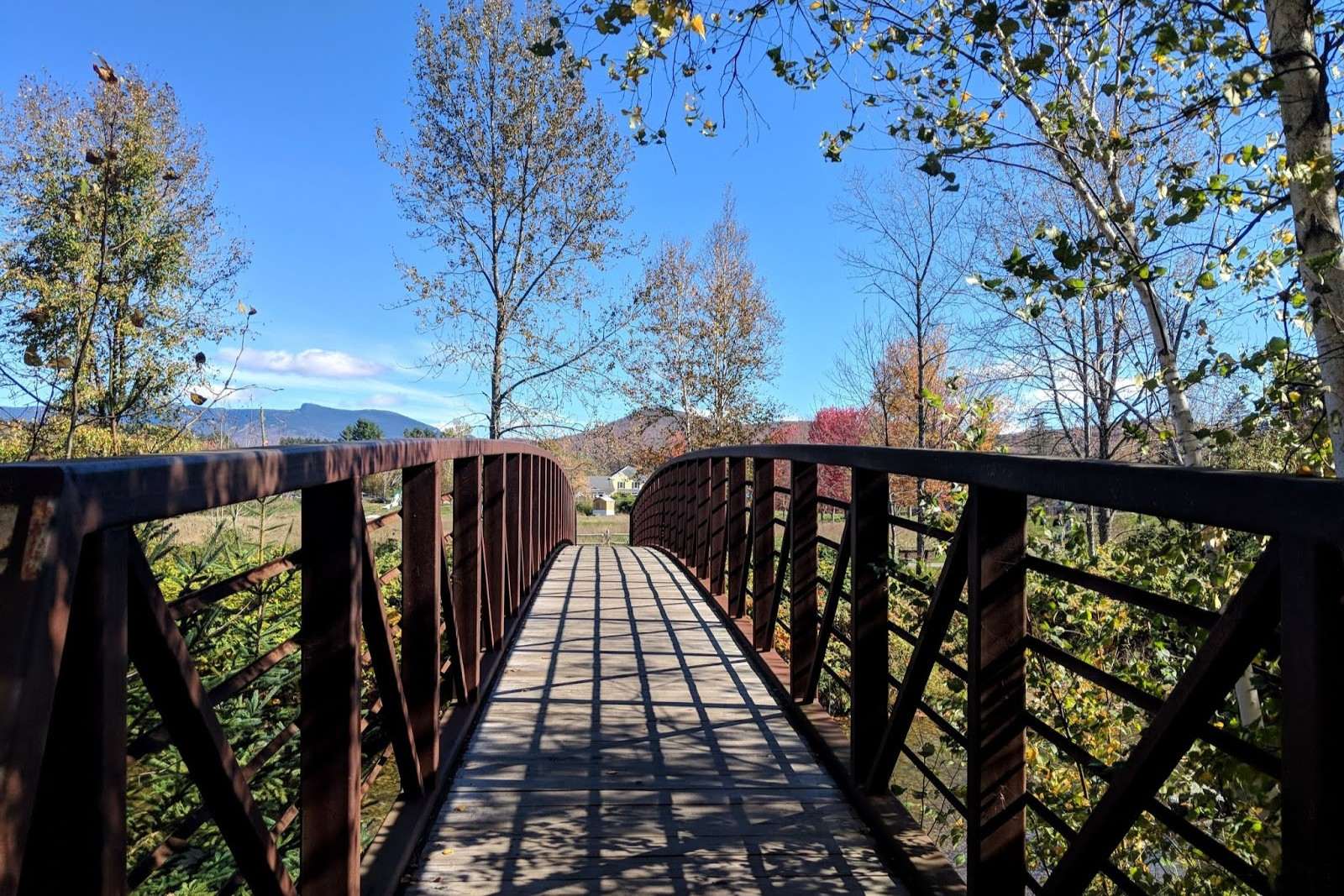 hidden-forest-meadows-along-vermonts-stowe-recreation-path