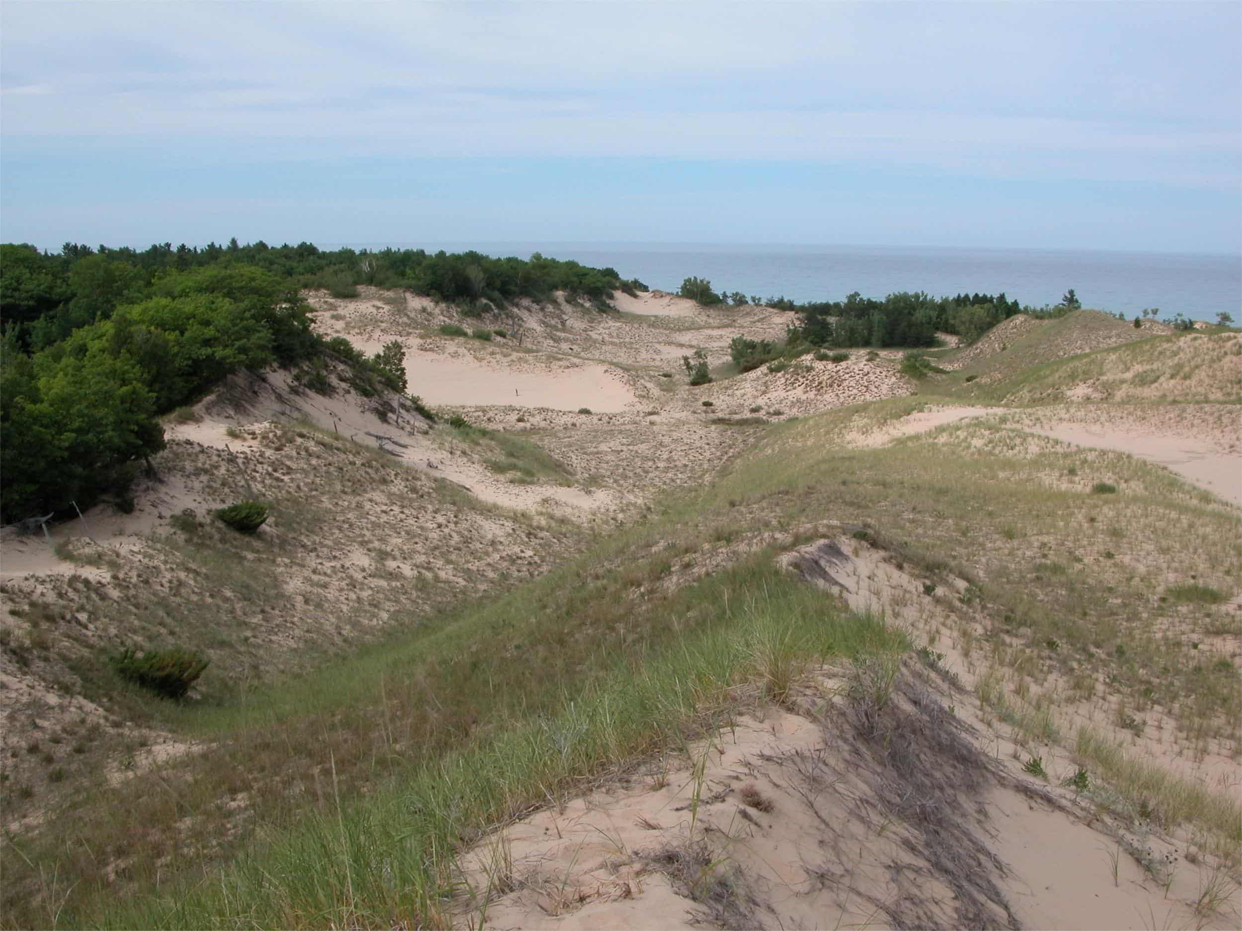 hidden-forest-meadows-in-michigans-nordhouse-dunes