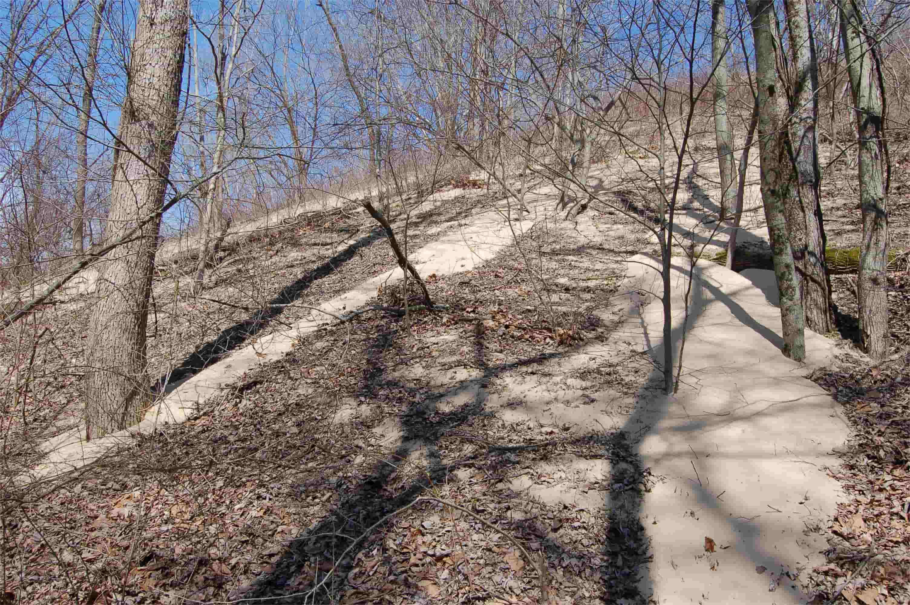 hidden-forest-meadows-in-michigans-warren-dunes