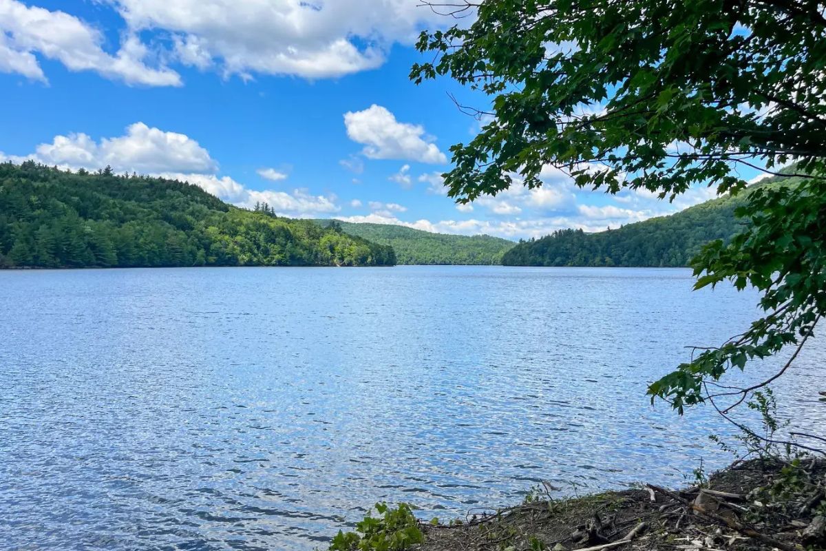 hidden-forest-pools-in-vermonts-little-river-state-park