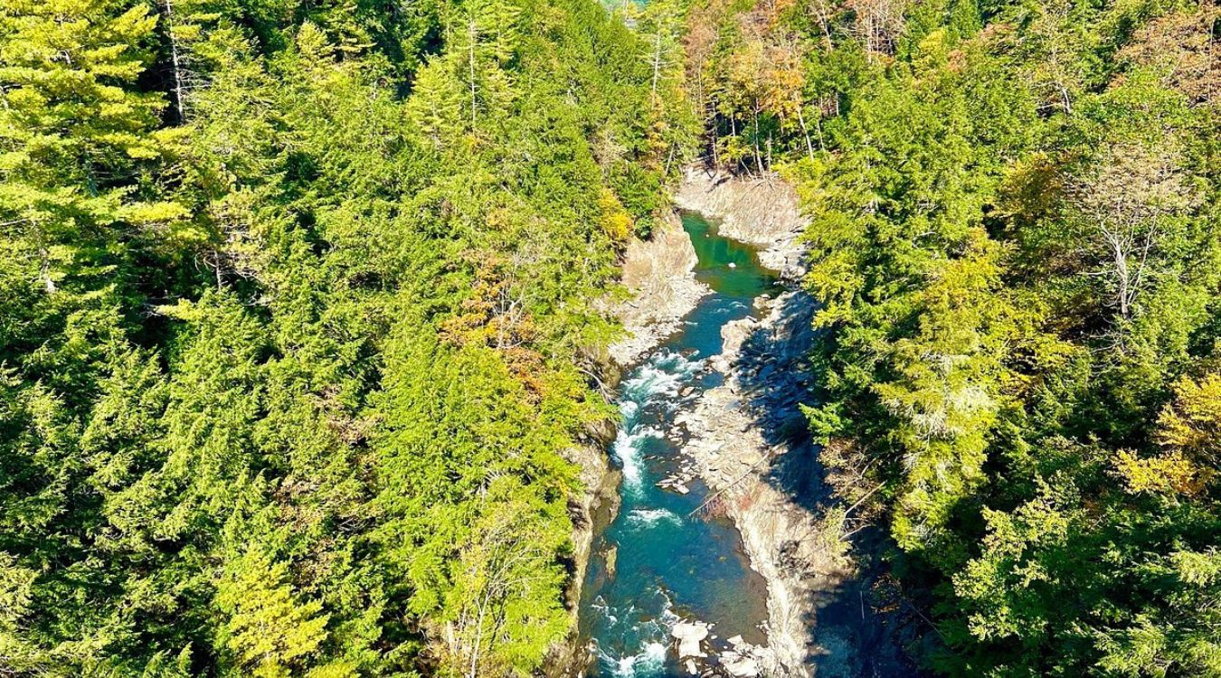 hidden-forest-pools-in-vermonts-quechee-gorge