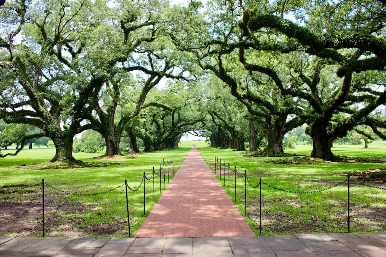hidden-gardens-of-louisianas-oak-alley-plantation