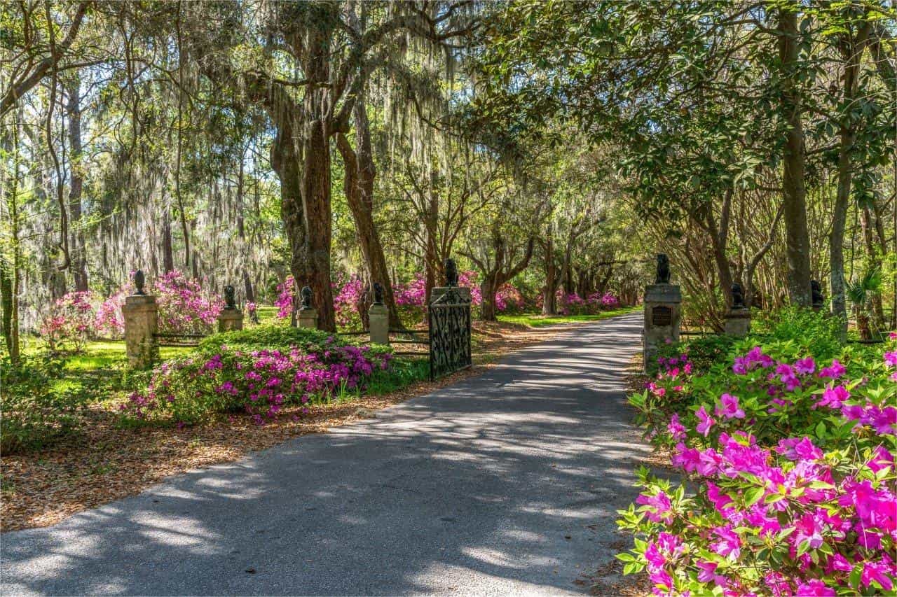 hidden-gardens-of-south-carolinas-magnolia-plantation
