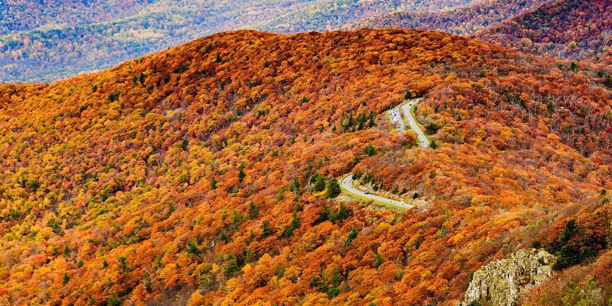 hidden-gems-along-virginias-skyline-drive