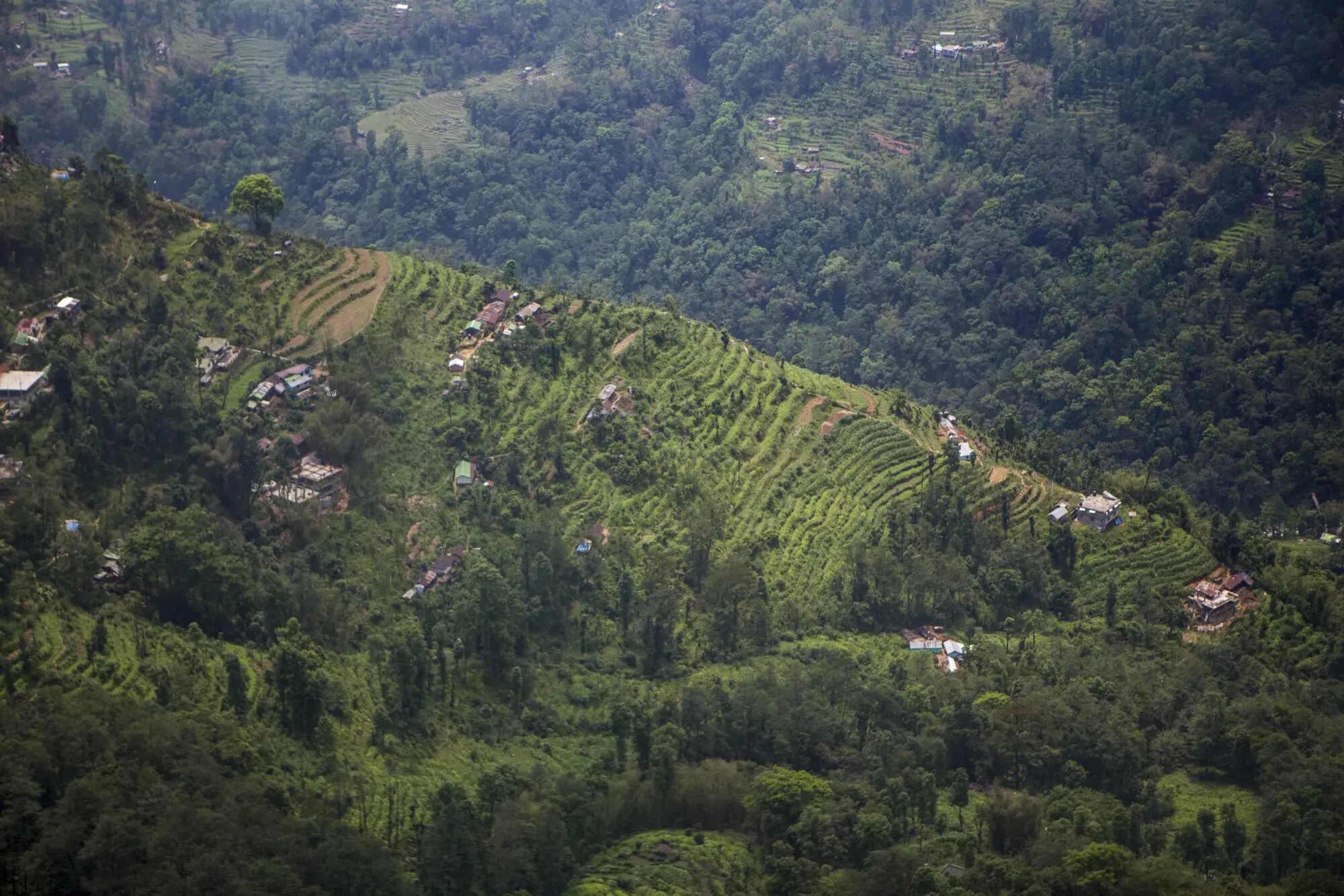 hidden-gems-of-bhutans-organic-farming-initiative