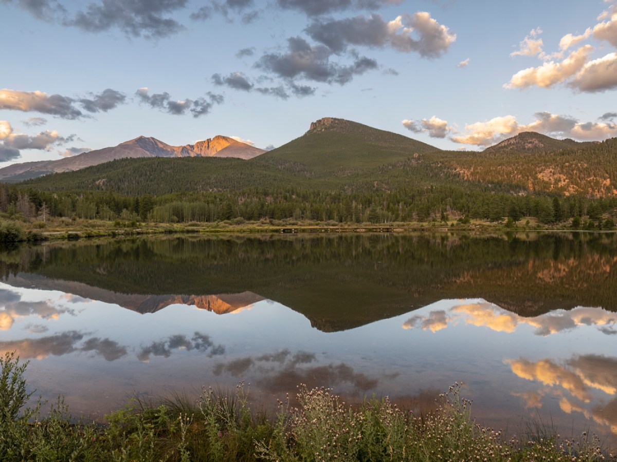 hidden-gems-of-colorados-rocky-mountain-lily-lake-beaver-lodge-views